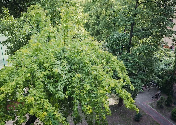 ASKI Hoża Apartment